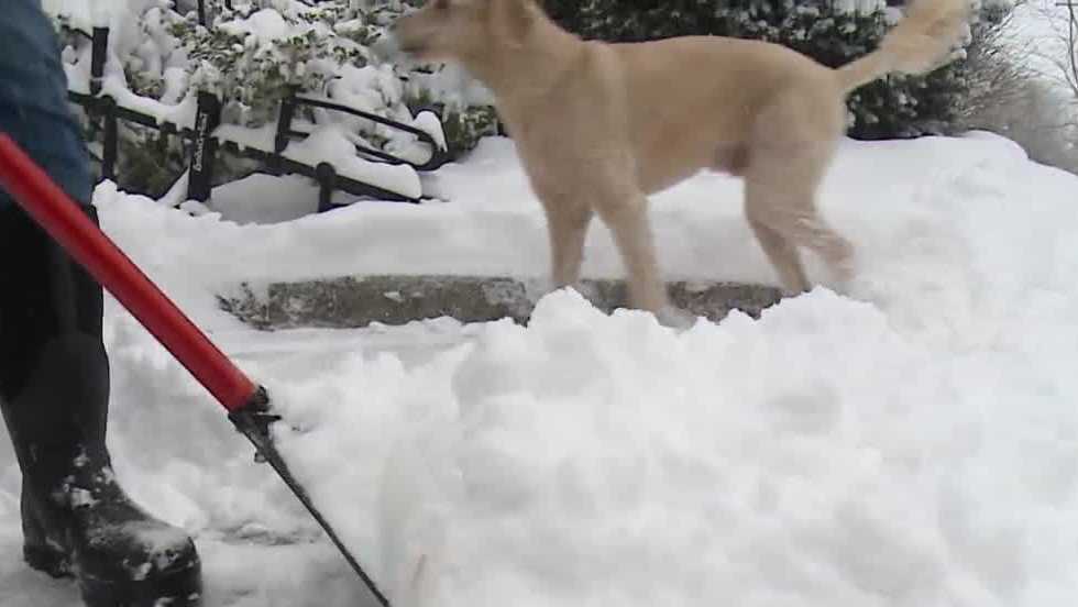 Omaha snow clean up begins Thursday