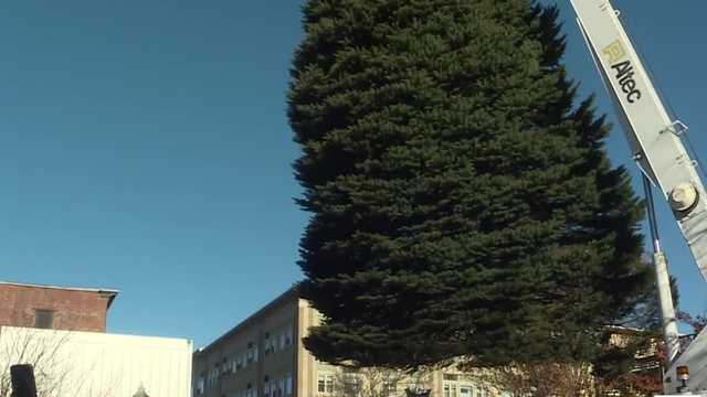 Crews put up city Christmas tree in Lewiston - Vimarsana News