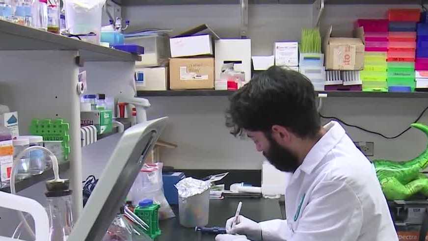 CURE Program inspires next generation of cancer researchers