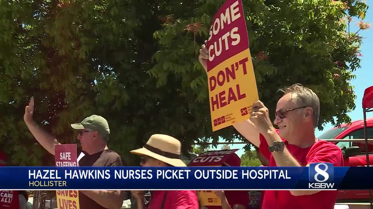 Hazel Hawkins' scientists and engineers reach union agreement; nurses continue protest - Vimarsana News