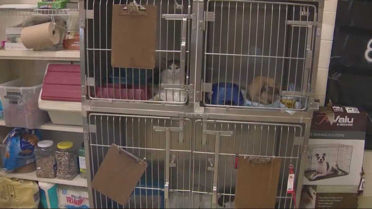 2 arrested after dozens of dead, living animals found in home