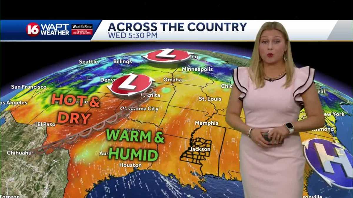 Warm and sunny till the weekend