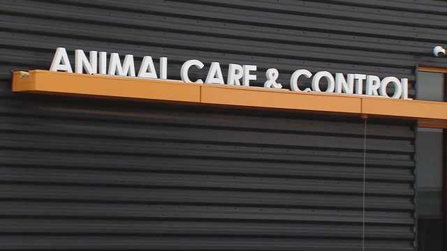 Cedar Rapids, Iowa boy survives vicious dog attack - Vimarsana News