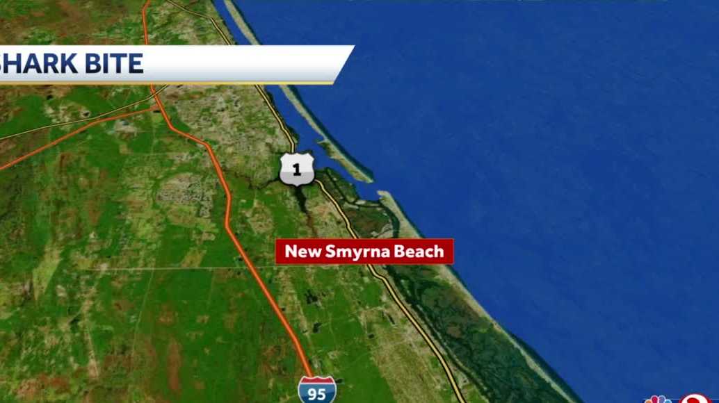 Child Bitten By Shark In New Smyrna Beach Safety Officials Say