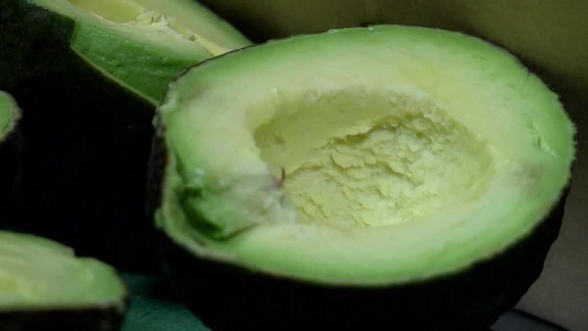 Healthy Living with Gisela Bouvier: The health benefits of avocados