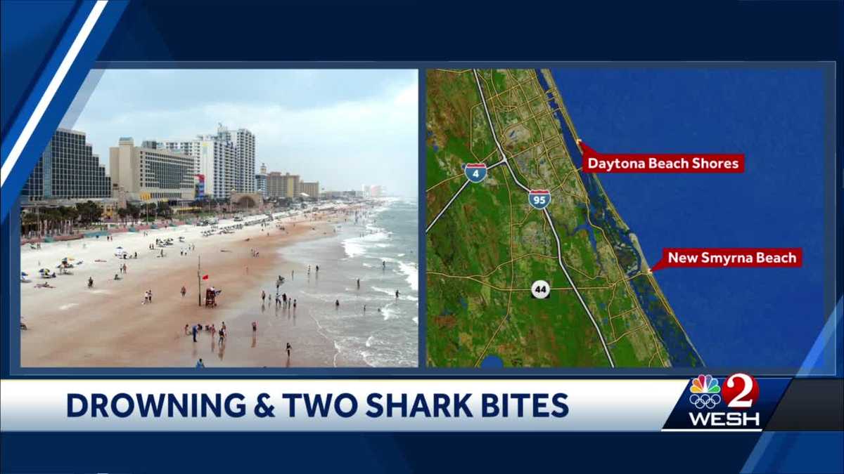 12 Year Old 71 Year Old Both Bitten By Sharks In Volusia County Safety Officials Say