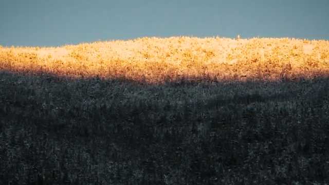 Officials identify hiker found dead on Franconia trail - Vimarsana News