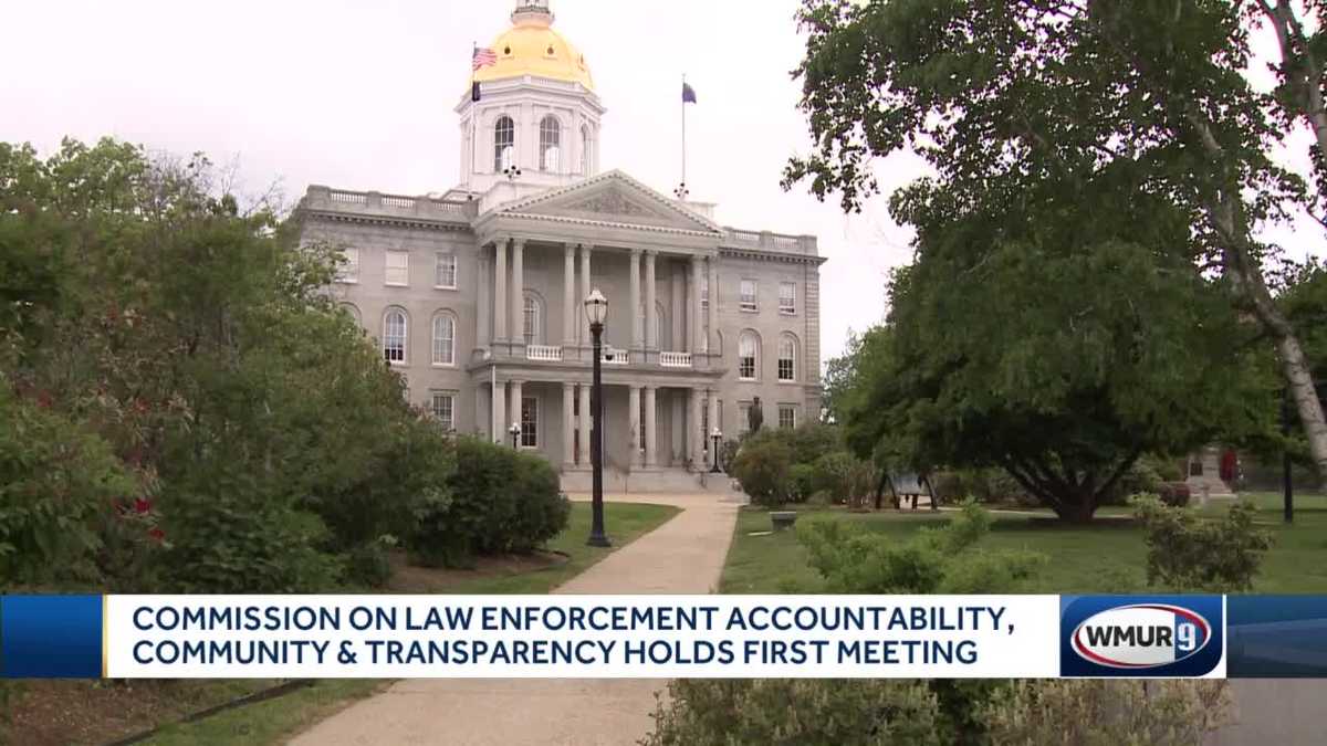 Commission on law enforcement accountability, community, transparency ...