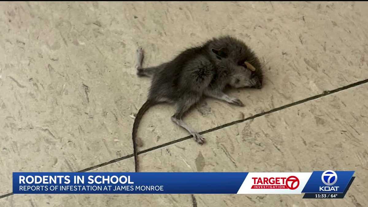 Alleged mice infestation at Albuquerque middle school raises health concerns, staff & parent outrage