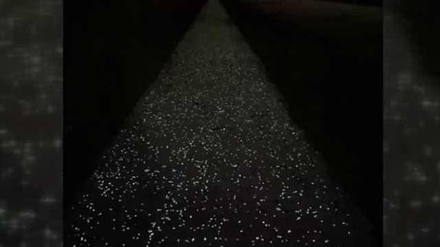 Iowa is home to the longest glow-in-the-dark trail in the country - Vimarsana News