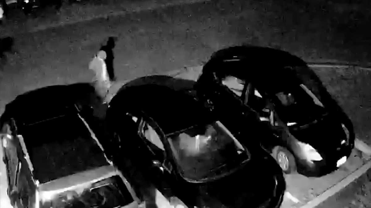 Davis catalytic converter theft caught on camera