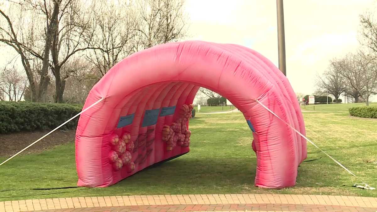 Huge inflatable raises awareness of colorectal cancer