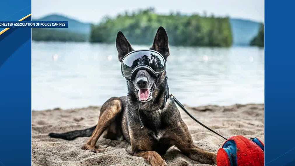 Manchester, New Hampshire, police K9 Doug retires