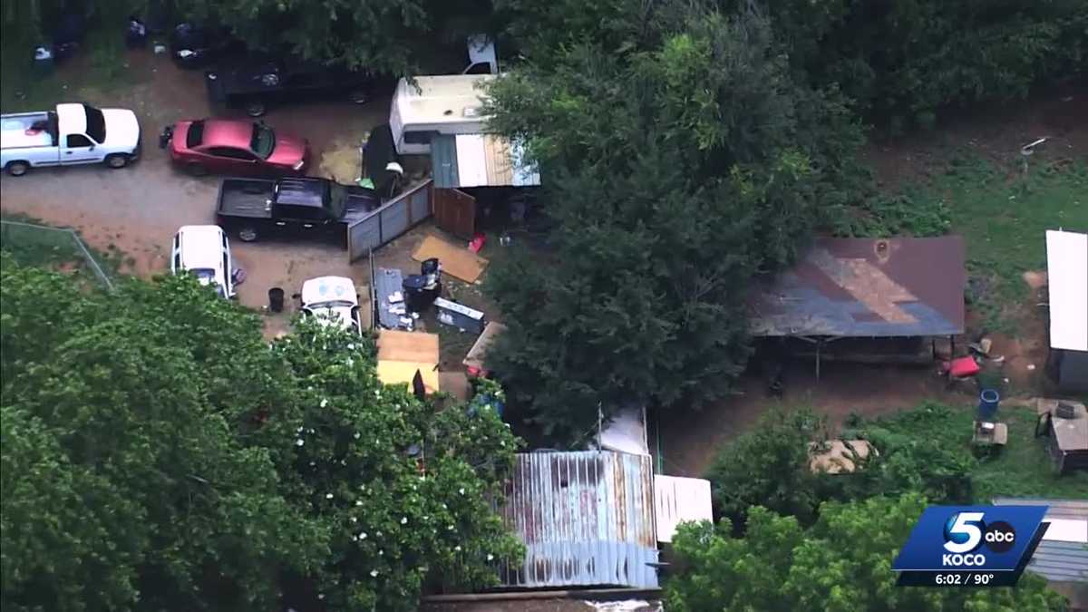 More than 500 animals seized in OKC drug bust, overwhelms shelter - KOCO