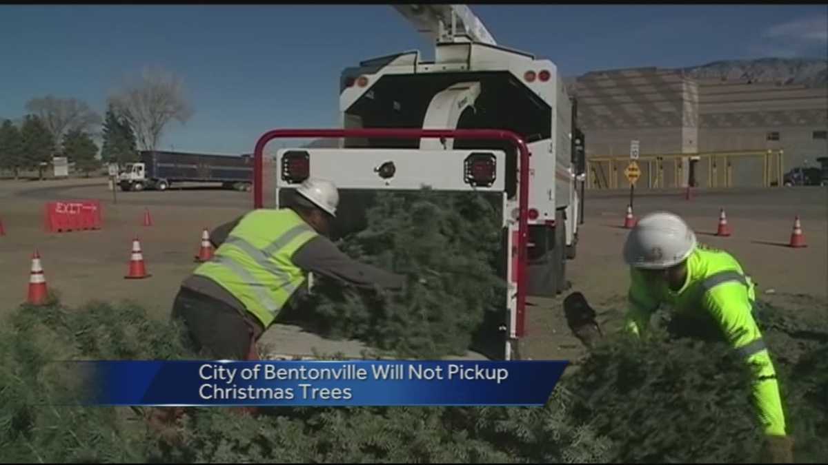 Christmas Tree Recycling
