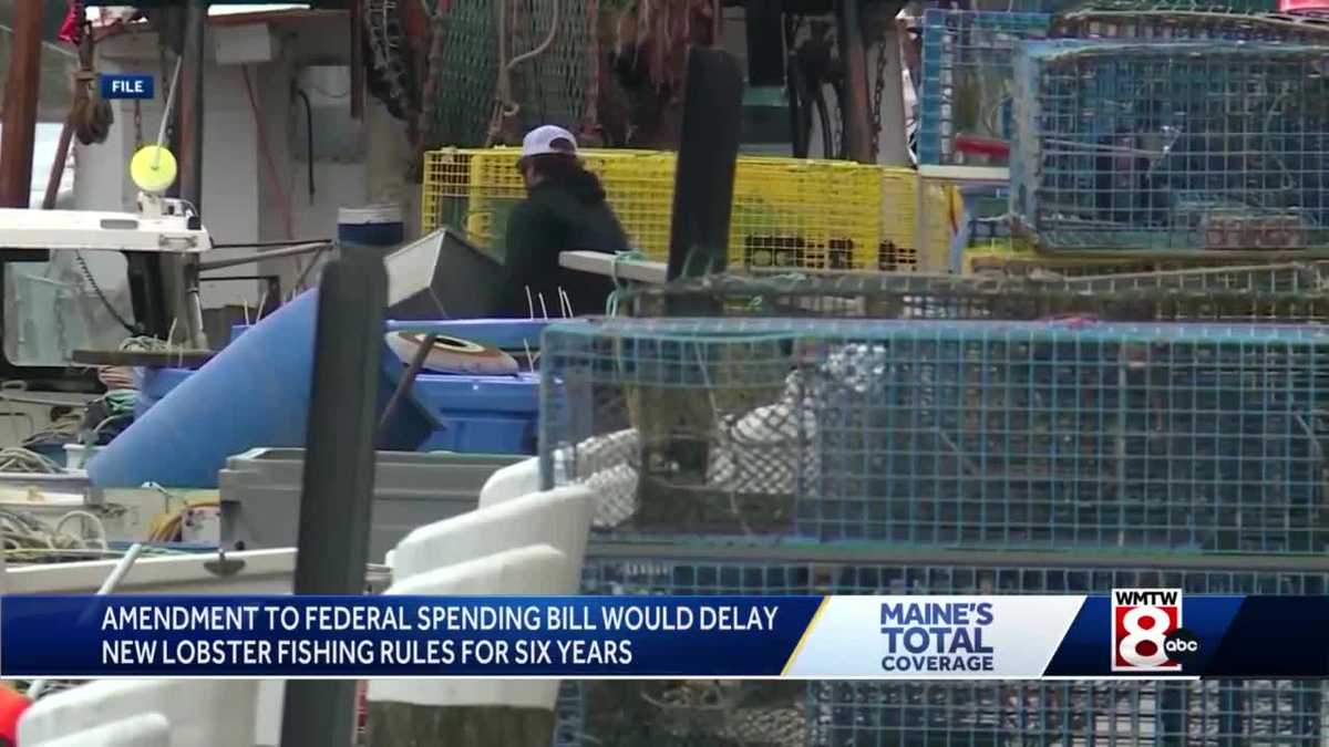 Maine congressional delegation and governor unite behind pause in new