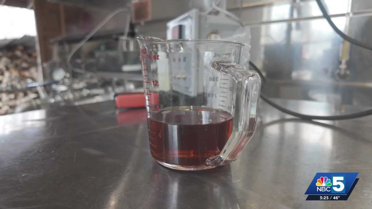 Study finds green sugar making practices save money, don't harm sap production