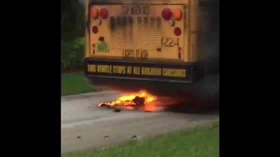 School bus driver called a hero after bus catches fire