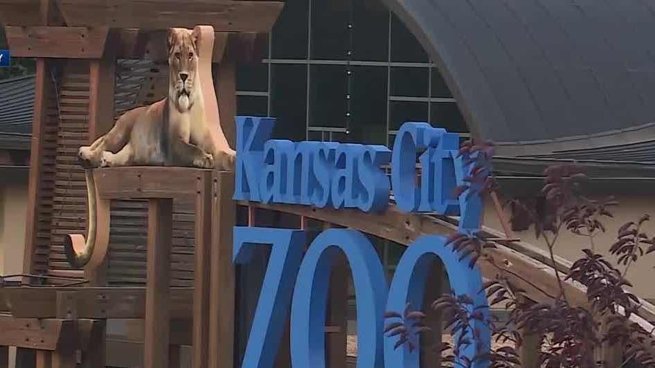 Anthony R. Meneses used illegal firearm in fatal KC zoo shooting