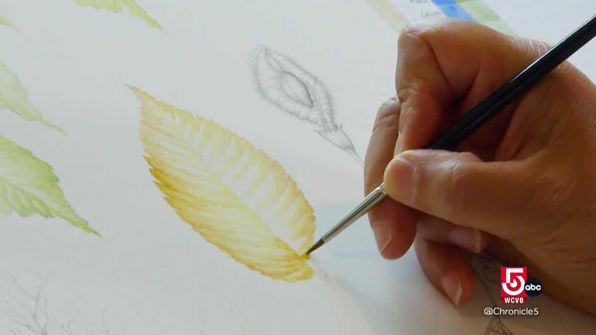 Botanical art classes inspire at Massachusetts Horticultural Society