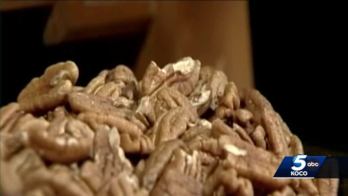 Oklahomans, animals to enjoy this year's pecan harvest - KOCO