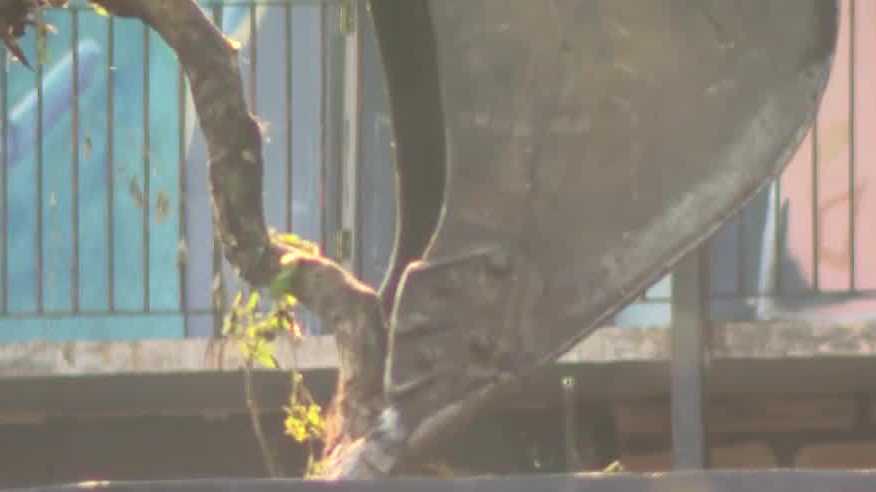 New Orleans Algiers apartment complex demolition begins - Vimarsana News