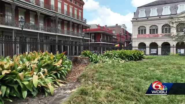 New Orleans Jackson Square tree Morris Bart lawsuit news conference - Vimarsana News