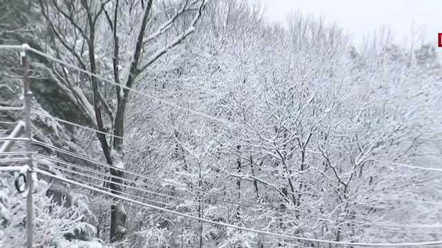 Snow makes for messy morning commute across New Hampshire - Vimarsana News