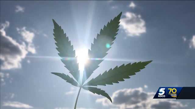 What would rescheduling marijuana mean for Oklahoma? - Vimarsana News