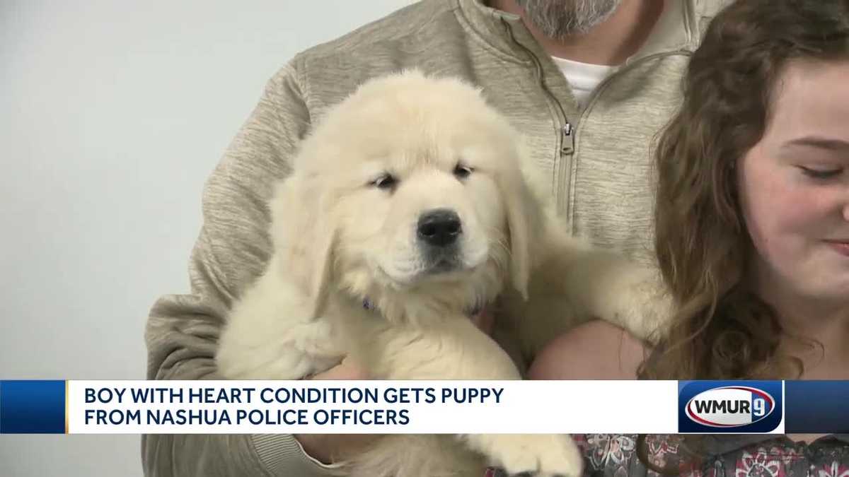 Boy with heart defect gets gift of puppy