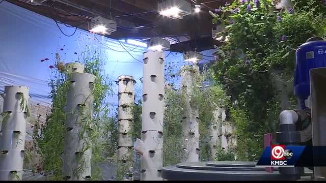 Urban farm in KC's Crossroads District prepares to move - Vimarsana News