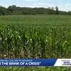 'They're on the brink of a crisis': Iowa farmers feel unheard after farm bill fails