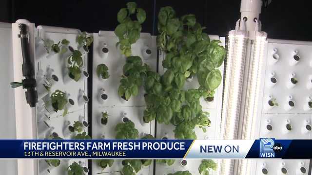 New partnership sprouts between MFD and organization to grow fresh produce in food deserts - Vimarsana News