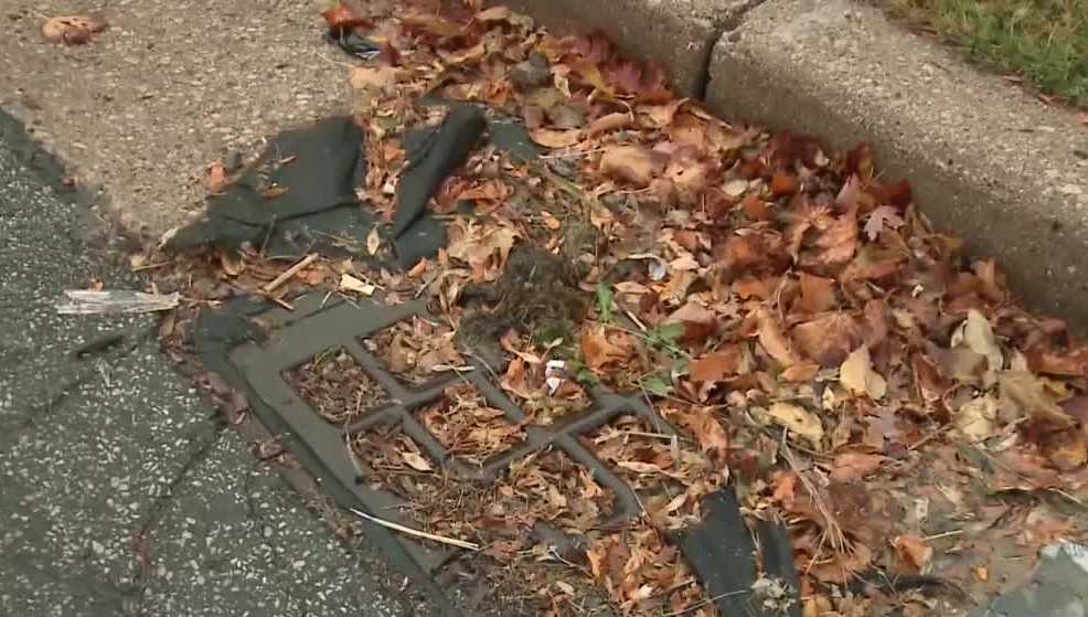 Milwaukee encourages residents to rake leaves into street