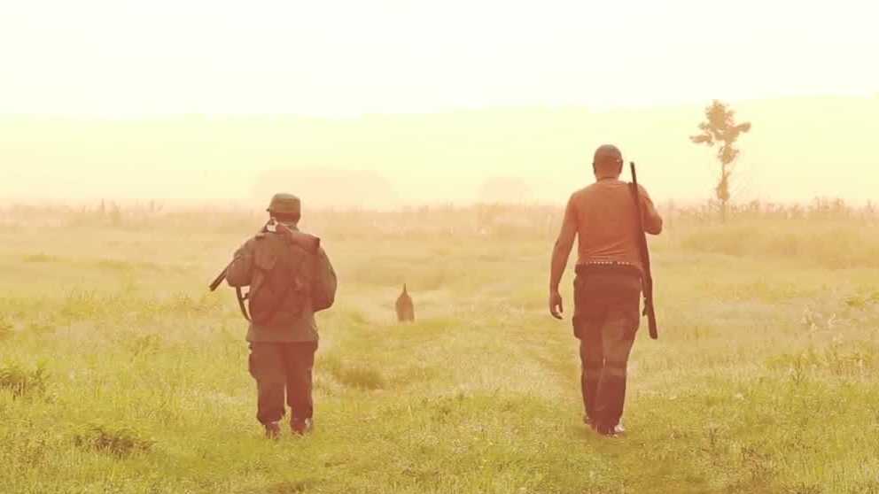 Vermont hunters encouraged to switch to lead-free ammunition this season