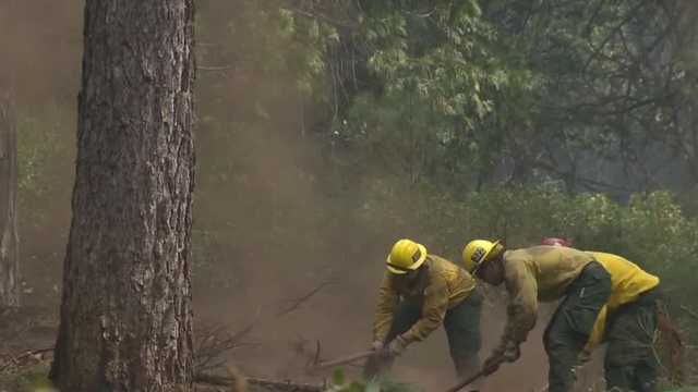 Mosquito Fire: Sunday, Monday rain might help suppress flames - Vimarsana News