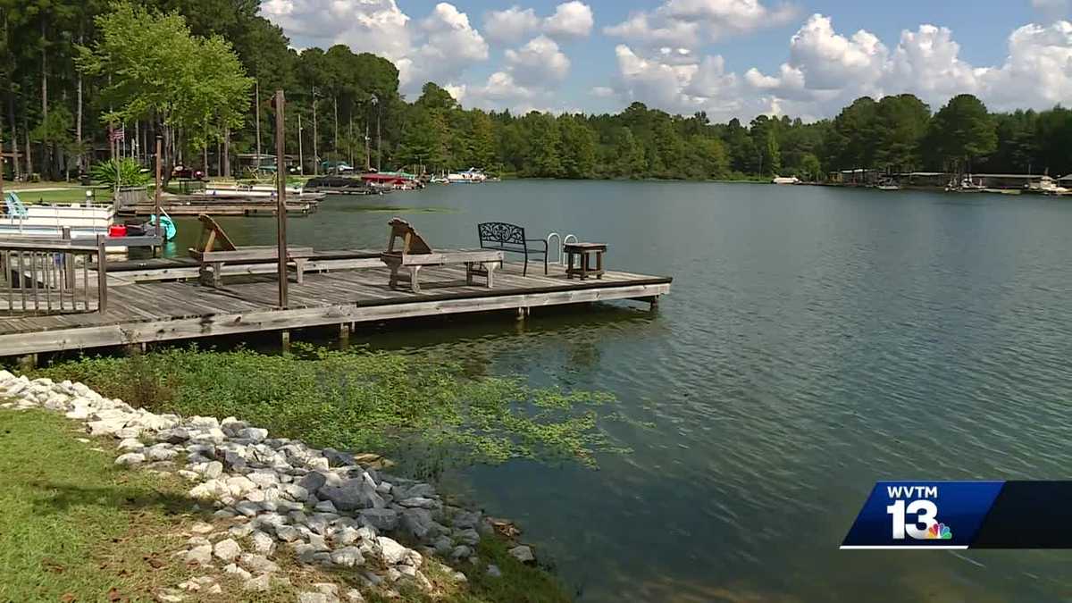 Homeowner spots alligator in Lay Lake