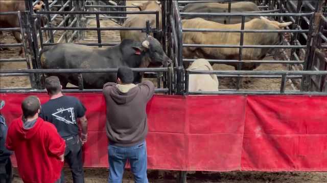 Chesapeake Energy Arena welcomes fans back for PBR event - Vimarsana News