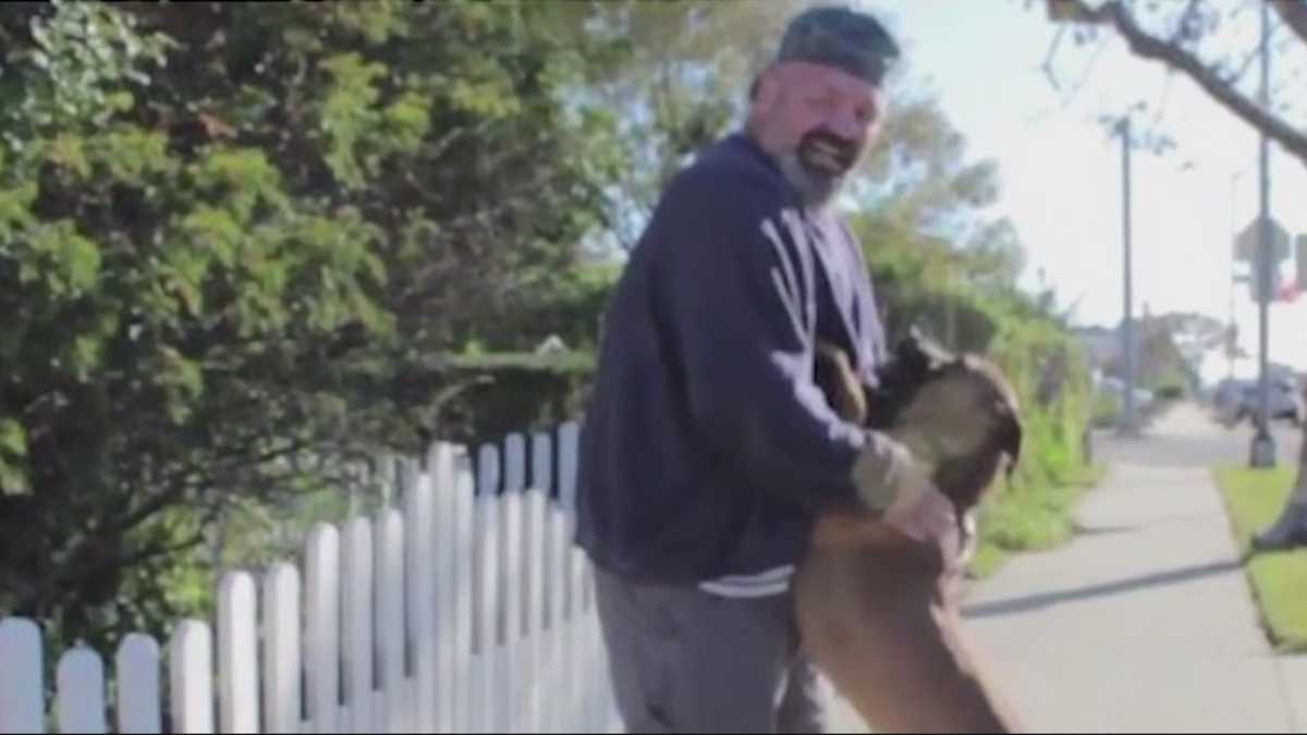 Dog breeder accused of animal abuse in custody
