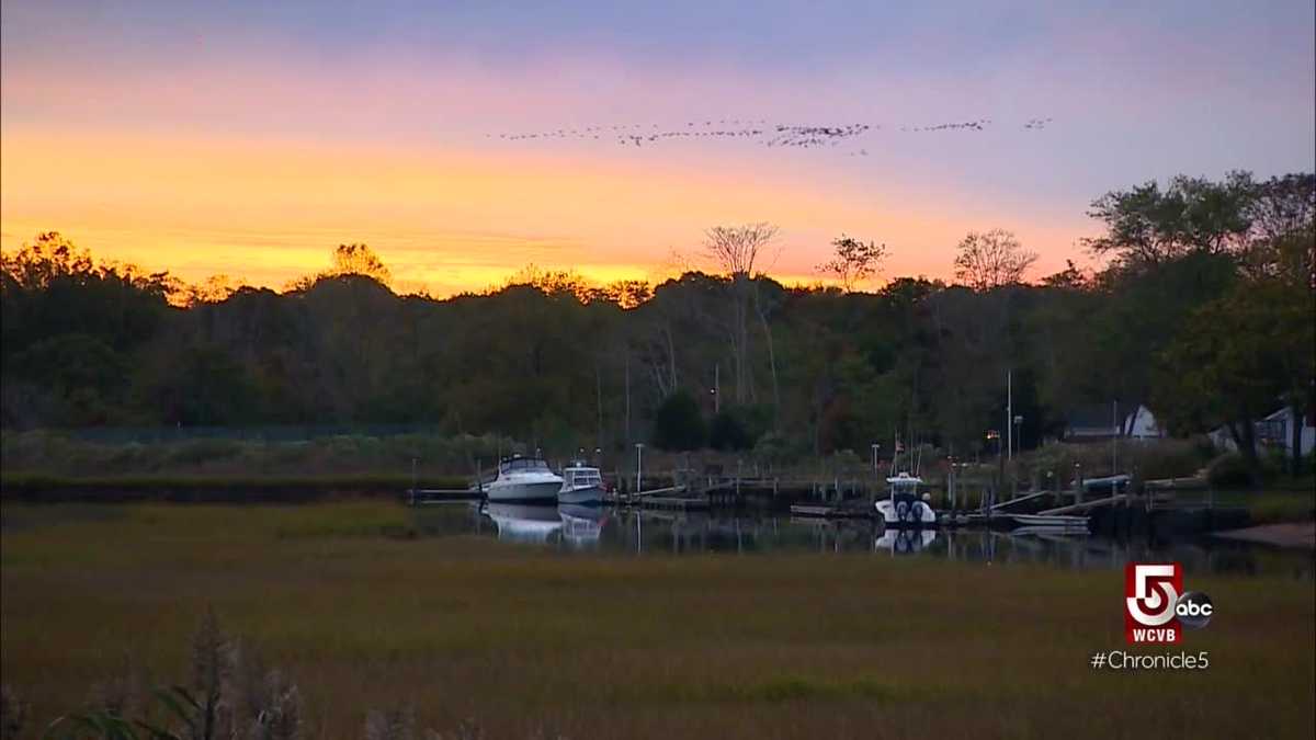 Experience village life on Long Island's North Fork