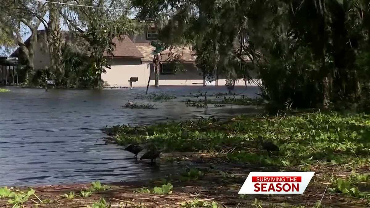 Will insurance help when a hurricane hits?