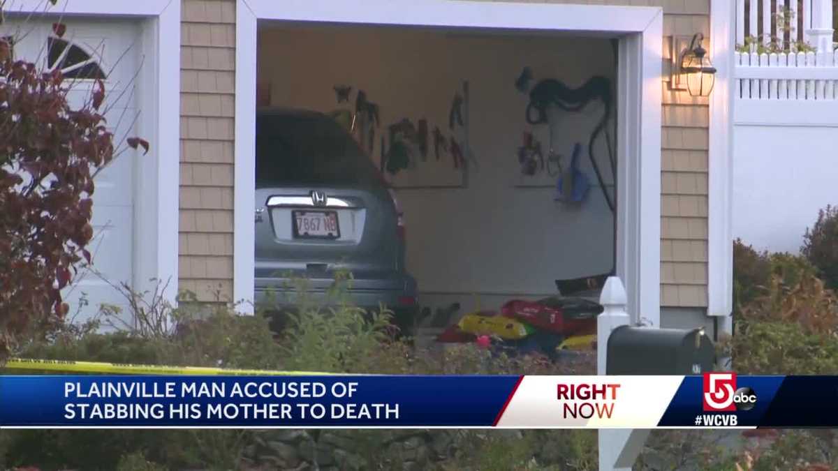 Man accused of stabbing mother to death