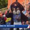Sea Dogs lose on Star Wars night