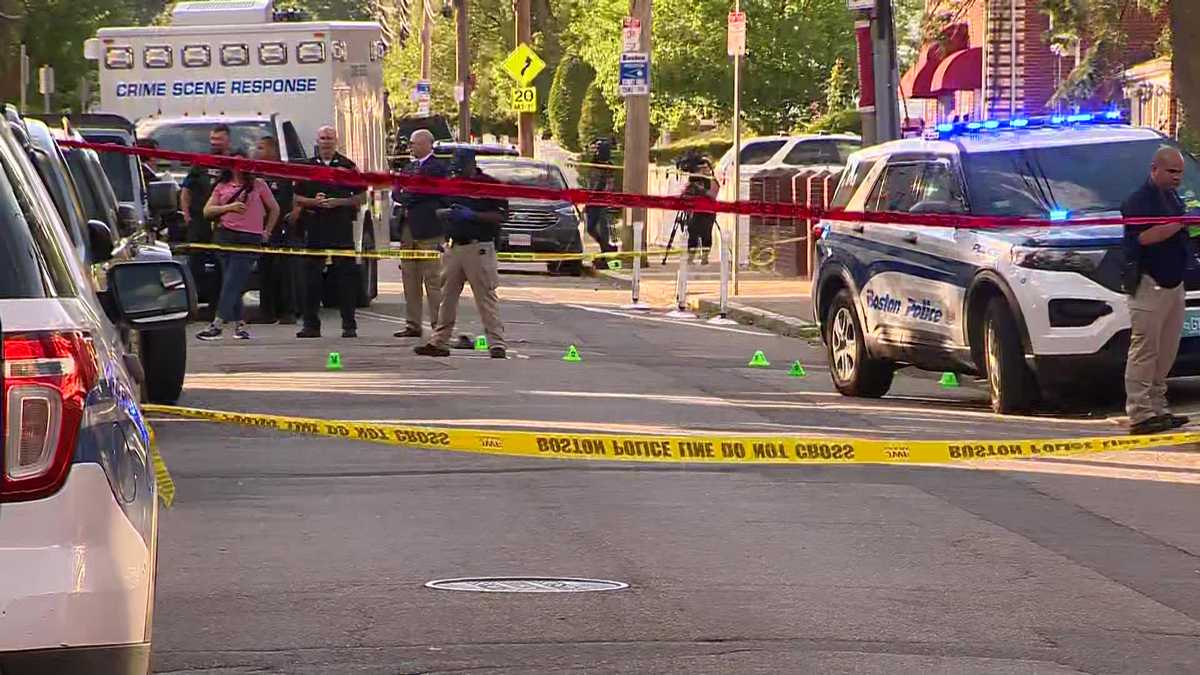 Man stabbed, two others hurt in large fights in Boston's Hyde Park ...