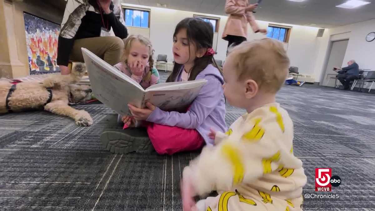Therapy dogs and a fire chief help Massachusetts kids fall in love with reading