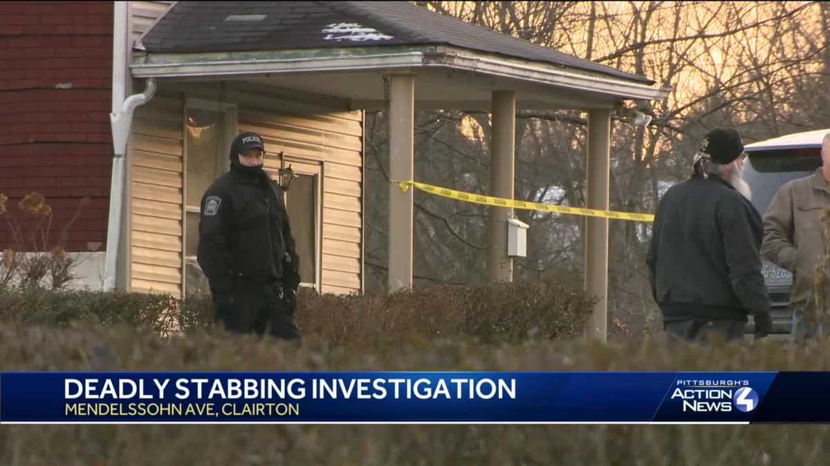 Police make arrest in deadly Clairton stabbing