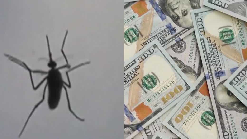 Florida property tax cuts could impact mosquito control funding
