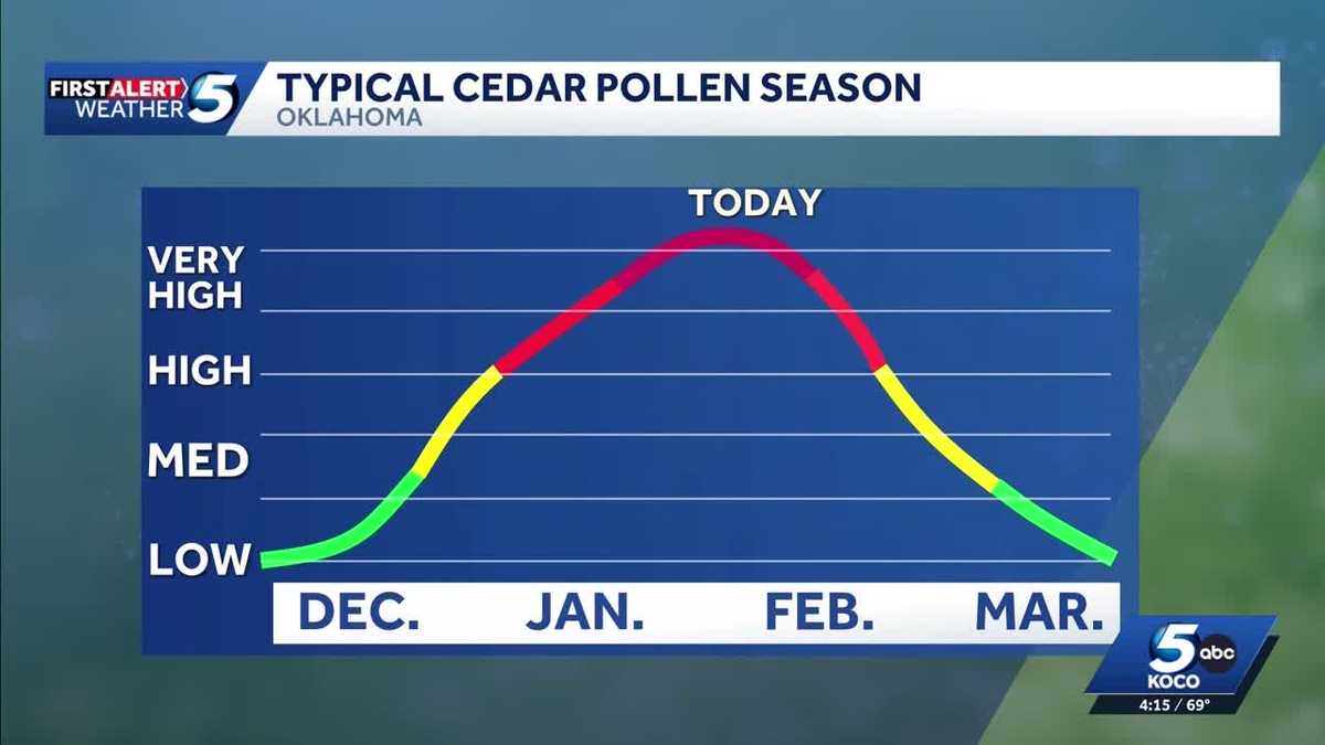 Cedar pollen season peaks in Oklahoma, causing allergy symptoms