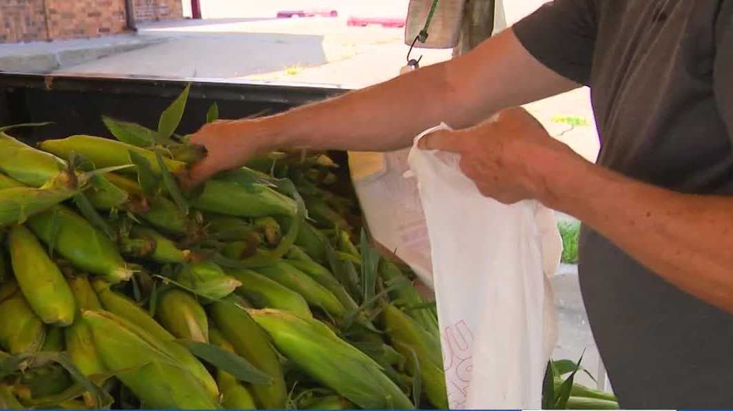 Flooded fields test Iowa farmers at start of sweet corn season