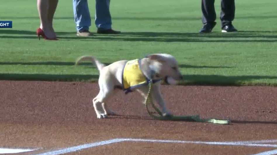 WATCH Ashby 'throws' first pitch at Bats game